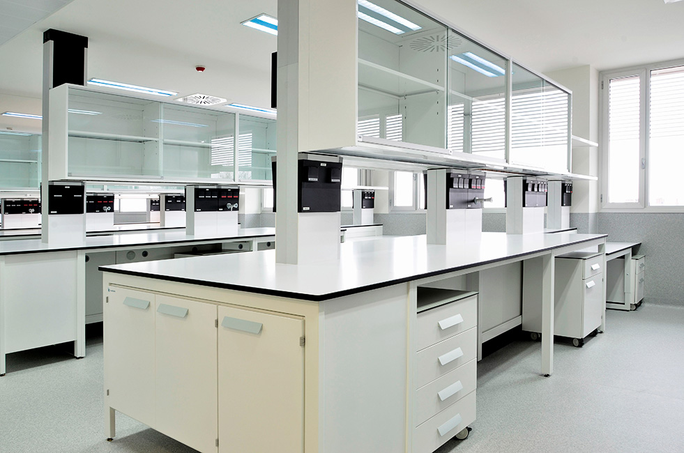 ISCIII Carlos III Health Institute. Benches, service systems and storage units of the laboratories 
